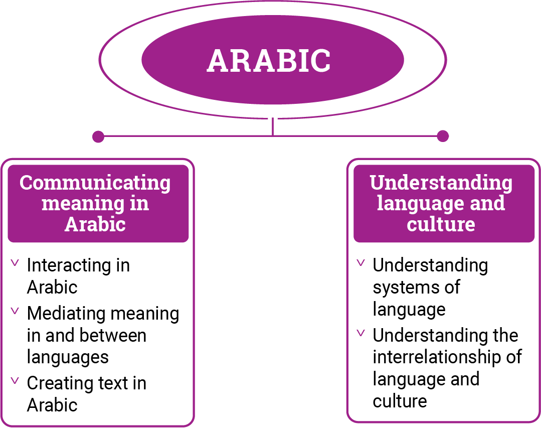 Diagram demonstrating the different strands in Arabic