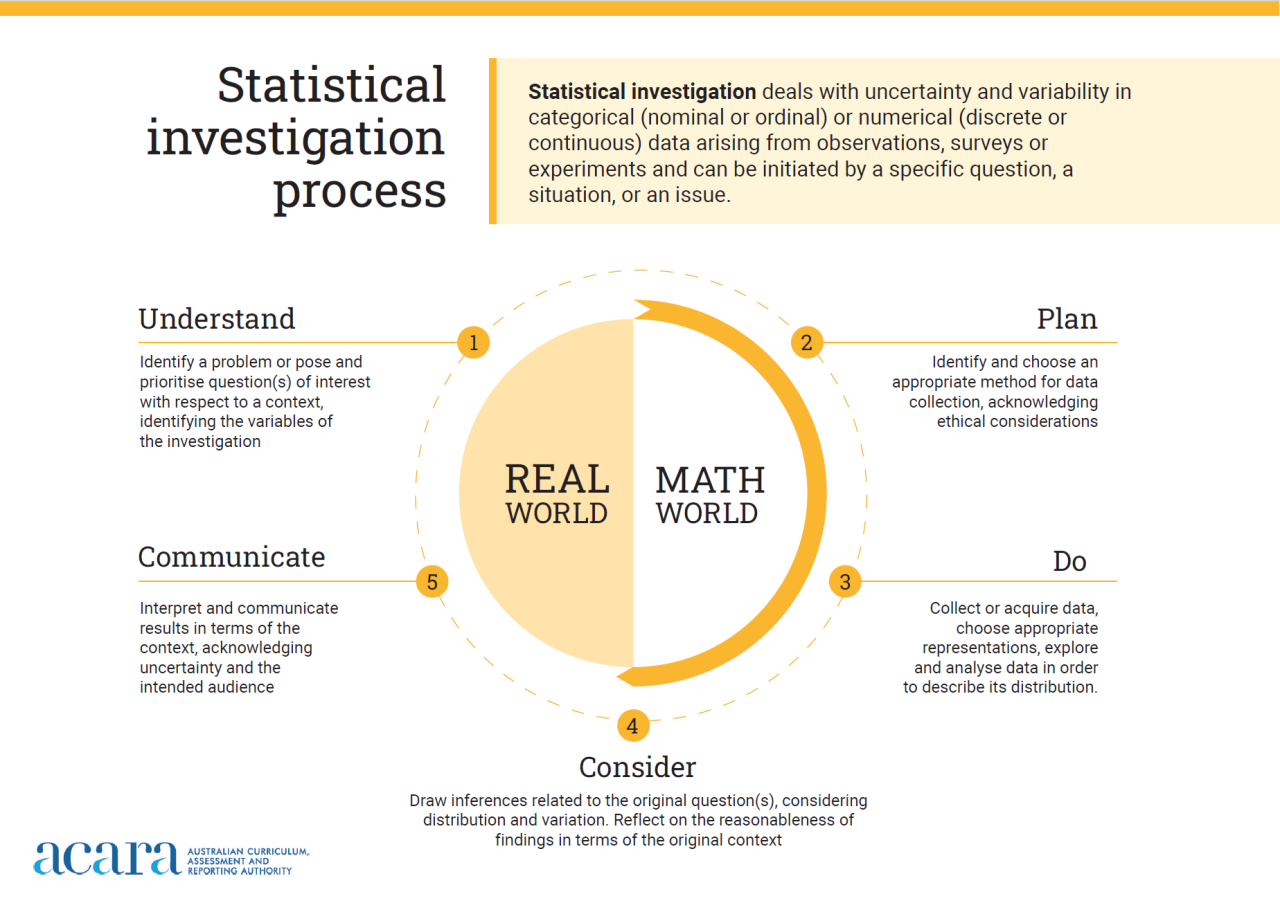 Image of the statistical investigation process